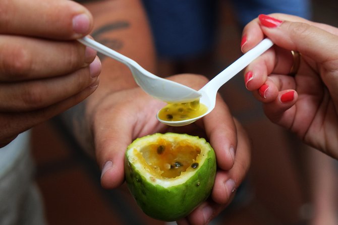 Taste Funchal: food, wine & cultural tour - Your Local Guide Does the Heavy Lifting (Especially for Food Questions)