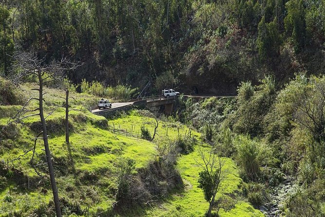The Best of the South - Jeep Safari - Full Day - Shared Tour - Ponta do Sol old port: a quick walk with big payoff