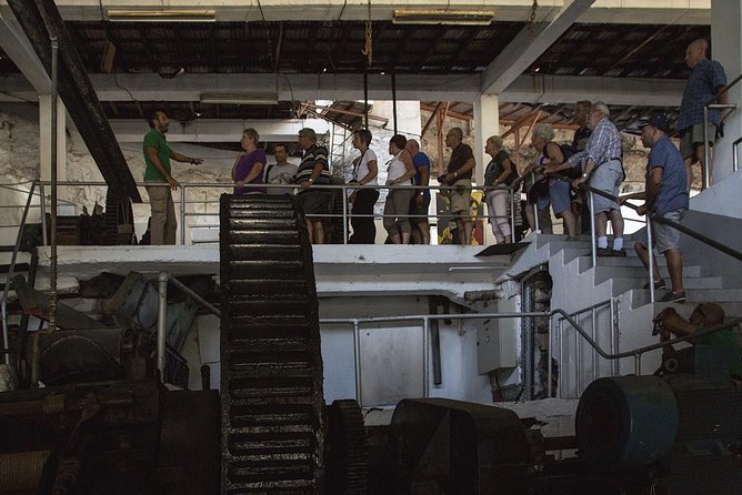 The Best of the South - Jeep Safari - Full Day - Shared Tour - Paul do Mar: where the tour becomes a food hunt