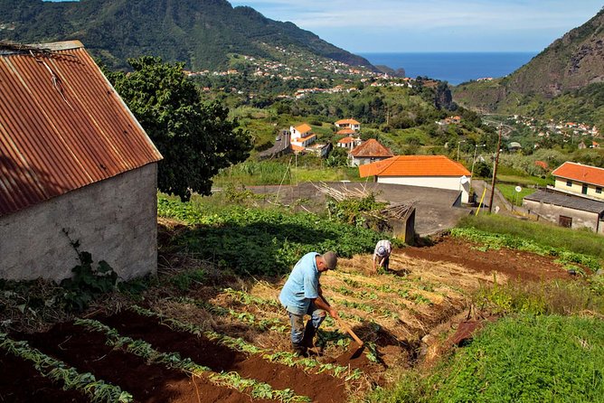 The Best of the South - Jeep Safari - Full Day - Shared Tour - Calheta rum factory: tastings, sweet bites, and that Madeira flavor