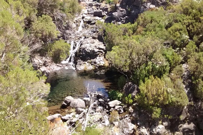 The Fantastic Cascades - Stop by Stop: Cascades Before the Main Hike