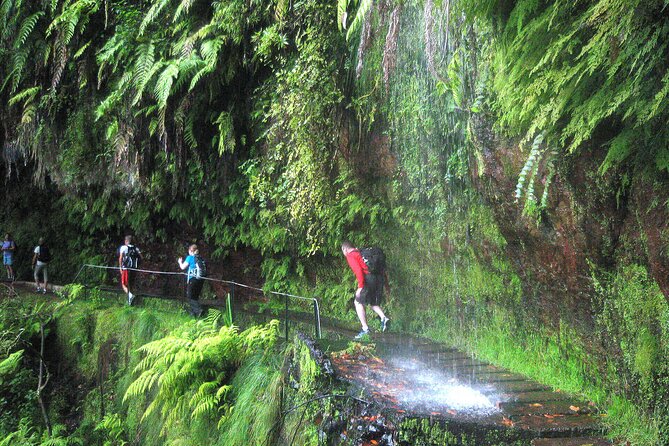 The King's Levada - Levada do Rei - Key Highlights You’ll Care About