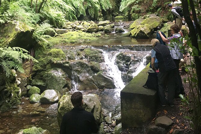 The King's Levada - Levada do Rei - The Real Main Event: Walking Along the Levada do Rei
