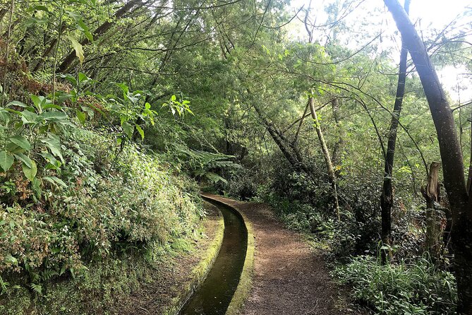 The King's Levada - Levada do Rei - Who This Tour Fits Best (And Who Might Skip It)
