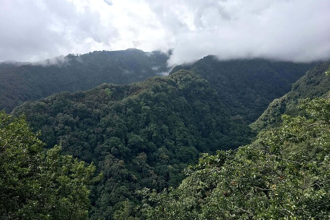 The King's Levada - Levada do Rei - Starting From Funchal: Pickup, Meeting Points, and Timing That Actually Work