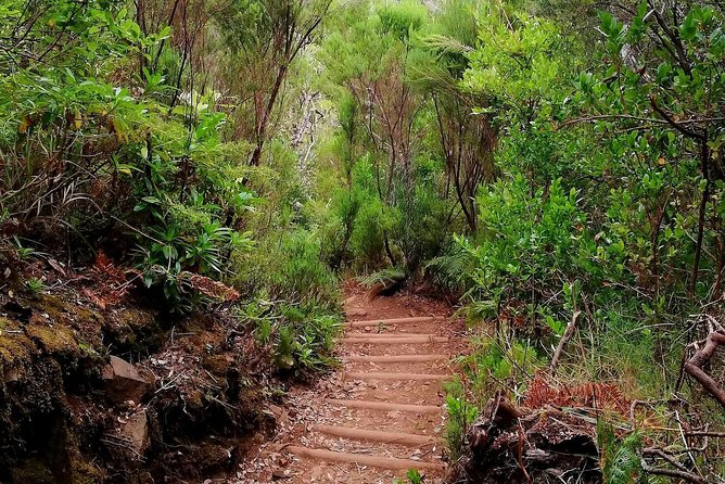 The Lakes Walk - What the Hike Feels Like: Steps, Breaks, and Pace