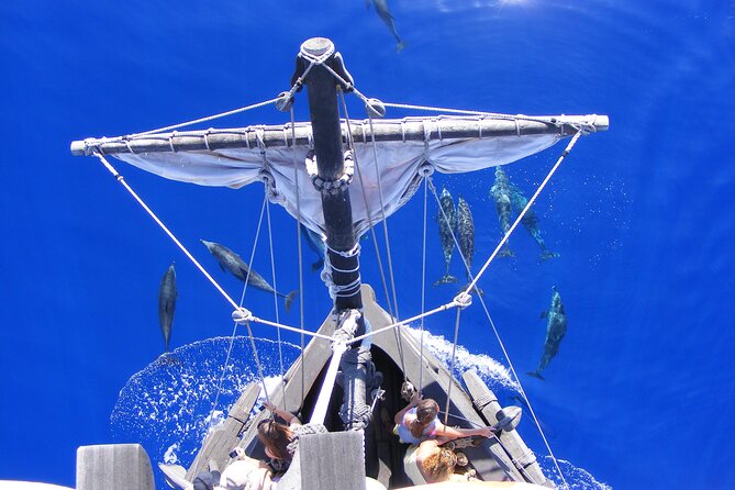 Time Travel on Columbus Replica Flag Ship in Madeira - What makes the ship feel special: stairs, small museum, and crew energy