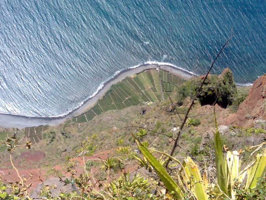 Toboggan Ride & Madeira Wine Tasting Tour - Key things to know before you go