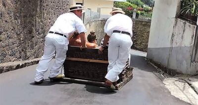 Toboggan Ride & Madeira Wine Tasting Tour - Pickup, timing, and group size in Funchal