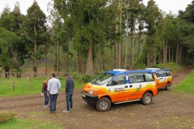 traditional Farmers Market Open 4X4 Half Day Tour - Reis Magos and the Blue Flag beach check