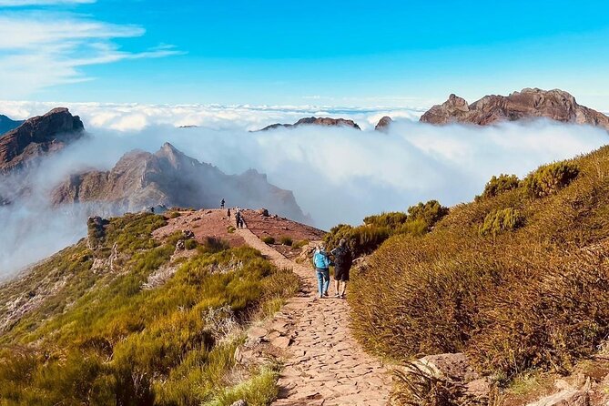 Transfer from Achada do Teixeira to Pico do Arieiro - Small Van Comfort and Clear Communication