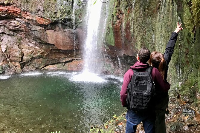 Twenty-Five Fountains Levada walks (private) - Forest Walking With Endemic Plants and Water Engineering
