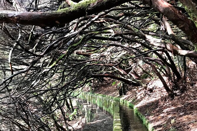 Twenty-Five Fountains Levada walks (private) - Tunnel Crossing and Wet Conditions: Gear That Saves the Day