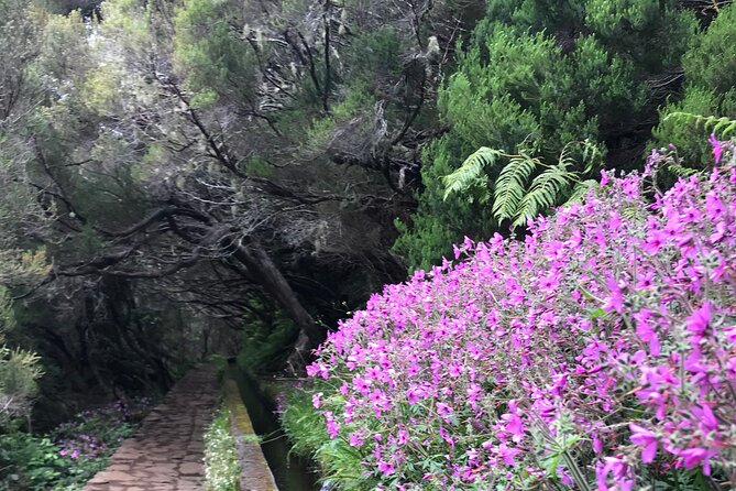 Twenty-Five Fountains Levada walks (private) - Timing That Beats the Crowd (Weekdays vs Weekends)