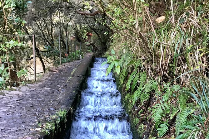 Twenty-Five Fountains Levada walks (private) - Pickup, Insurance, and Entrance Fees: The Practical Value