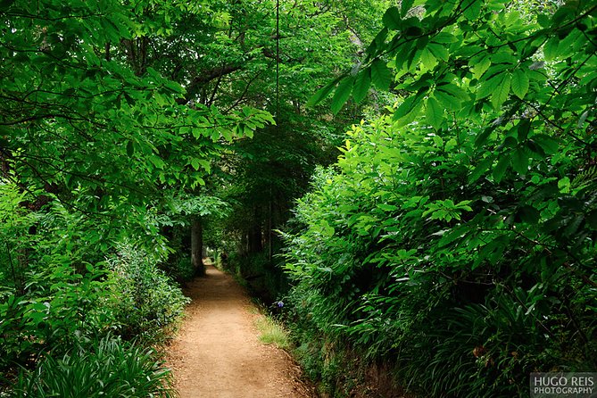 Vale Paraiso - Paradise Valley Walk - Key highlights at a glance