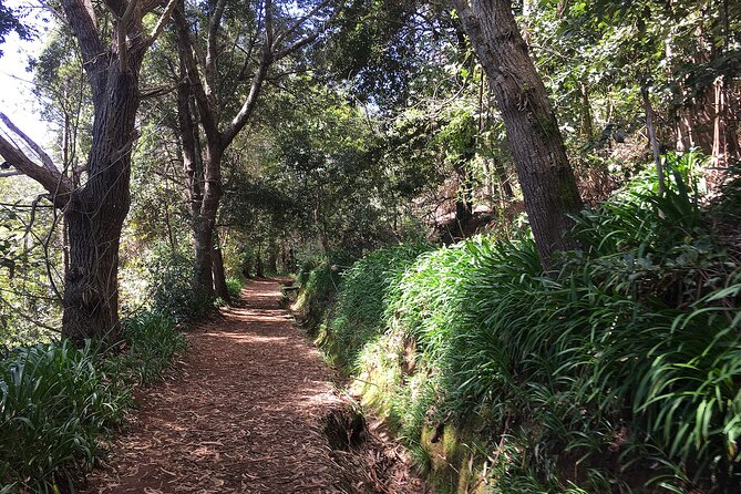 Vale Paraiso - Paradise Valley Walk - Getting to the start in Funchal: pickup that actually helps