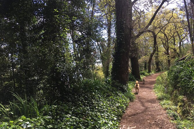 Vale Paraiso - Paradise Valley Walk - Time on your feet: about 4 hours, but plan for a relaxed pace