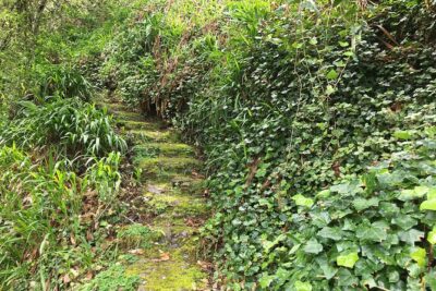 Vale Paraiso - Paradise Valley Walk - What you’re really doing on the trail: easy, shaded, and levada-shaped