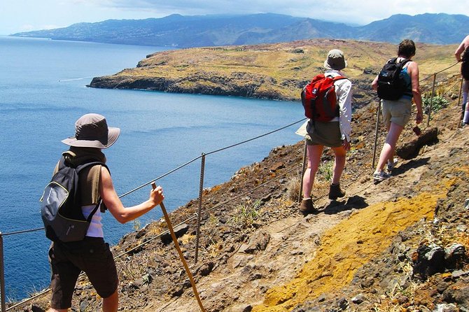 Vereda da Ponta de São Lourenço Trail Walking Tour - What Your Guide Actually Adds (Beyond Pointing at Pretty Views)