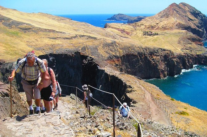 Vereda da Ponta de São Lourenço Trail Walking Tour - Swimming at the End: The Moment That Turns a Hike Into a Full-Day Memory