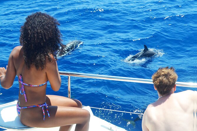 VipDolphins Luxury Whale Watching - Catamaran Comfort and the Small-Group Advantage (Max 17)