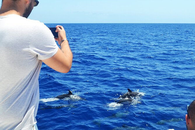 VipDolphins Luxury Whale Watching - Cabo Girao Swim and Snorkeling Break: The Most Physical Part of the Trip