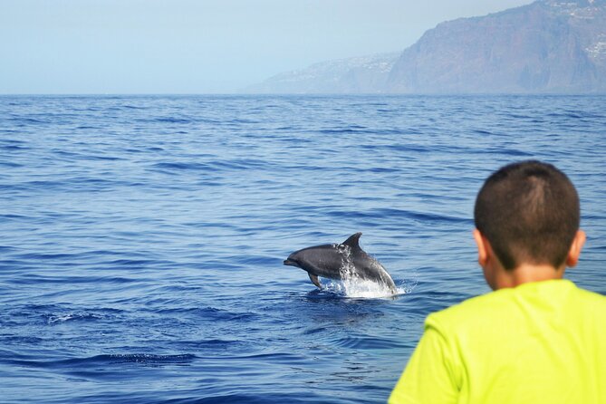 VipDolphins Luxury Whale Watching - What’s Included: Drinks, Snacks, Snorkeling Gear, Towels, and Blanks