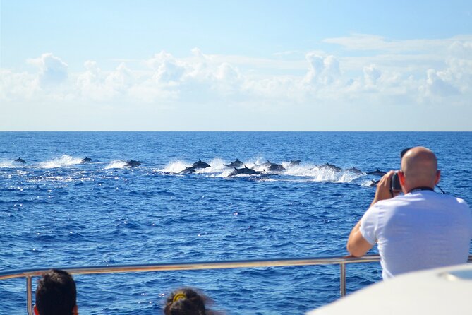 VipDolphins Luxury Whale Watching - Practical Tips for a Smoother Sail from Funchal