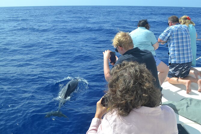 VipDolphins Luxury Whale Watching - Who This Madeira Whale Cruise Fits Best