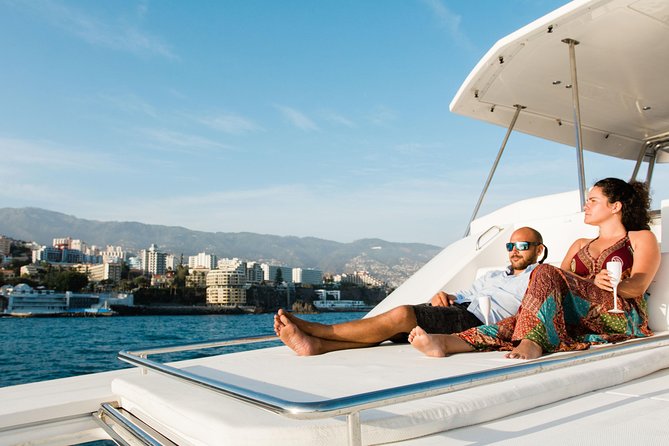 VipDolphins Luxury Whale Watching - On the Hunt for Whales and Dolphins: What You’re Really Chasing