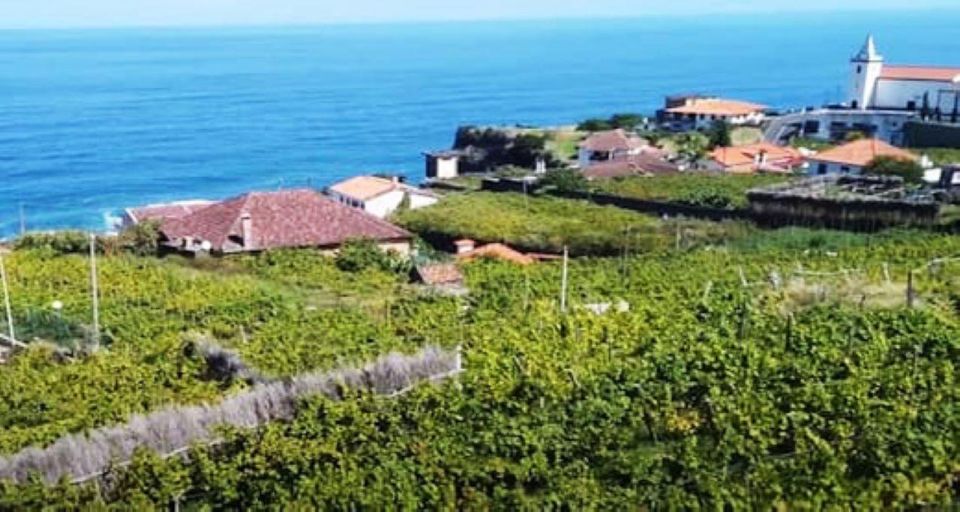 Visiting local Vineyard With Wine Tasting & Lunch included - Pickup From Funchal (and How Not to Miss the Van)