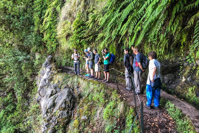Walk with a local - Levada walks, tunnels, and the value of a local route