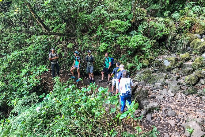 Walk with a local - Pace, group size, and why it stays personal