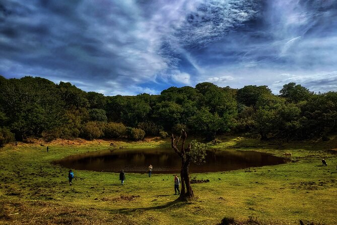 West Madeira Island Guided Tour & Fanal Mystic Forest - Morning start: Câmara de Lobos and a proper Madeira taste