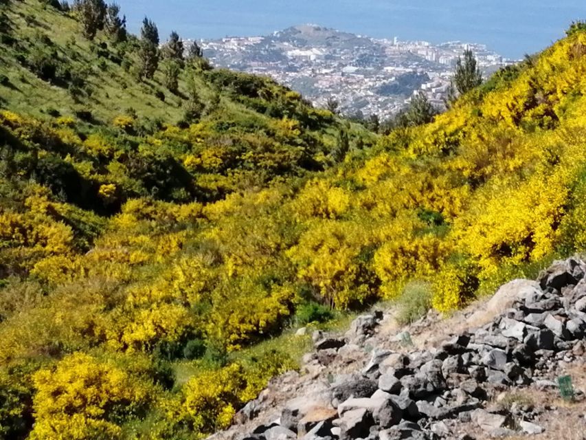 West Madeira:, Laurel Forest, Waterfall, Rock Pools, Walk - Seixal and waterfall viewpoints: quick stops with big drama