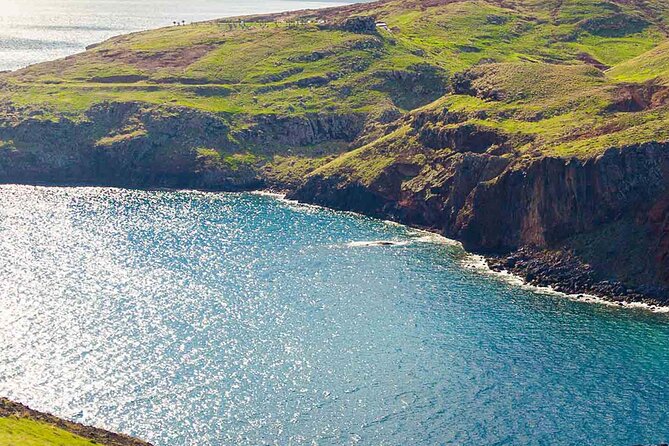 West of Madeira Private Half-Day Tour - Value and price: what $192.25 per group gets you