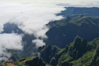 West of Madeira Private Half-Day Tour - Your driver’s role: small island driving, big difference