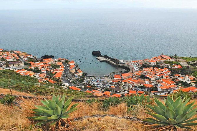 West Tour-Fanal Forest & Porto Moniz Natural Pools Small Groups - West Madeira in 7 hours: small group touring done right