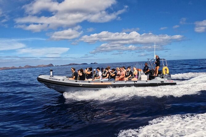 Whale and Dolphin Watching Tour from Funchal - Price and Value: Is $58.07 a Good Deal?