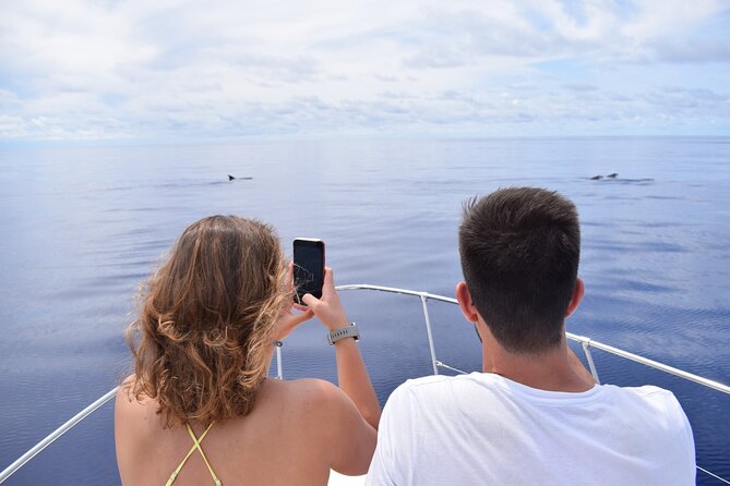 Whale and Dolphin Watching Tour in Madeira - Swim and Snorkel Time: Gear, Towels, and the Rocky-Bottom Stops