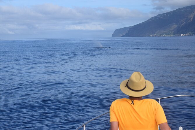 Whale and Dolphin Watching Tour in Madeira - Sunset Departures: Sparkling Wine, Snorkeling, and the No-Whale Rule