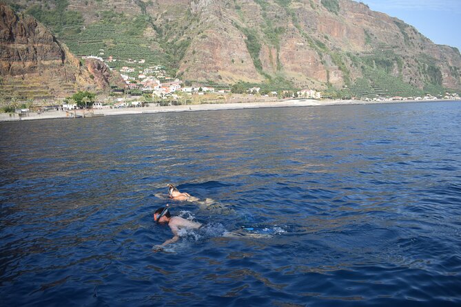Whale and Dolphin Watching Tour in Madeira - Price and Value: Is About $83.44 a Smart Spend?