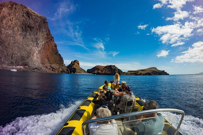 Whale & Dolphin Watching in Madeira - Who Should Book This Tour (and Who Might Not)