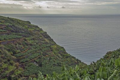 Wine + Dolphin Watching - Full Day- Shared Tour - The 4x4 Jeep Leg: Bumpy Roads, Great Stops, and Why It’s Worth It