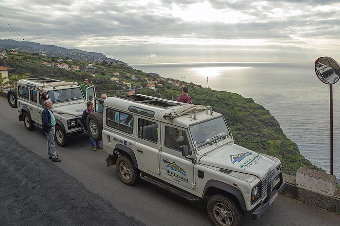 Wine + Dolphin Watching - Full Day- Shared Tour - Comfort Tips That Make the Day Easier