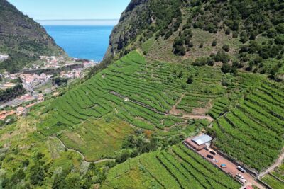 Wine taste, 4x4 Jeep Adventure and Cabo Girão Skywalk - Serra de Água Encumeada: cool air, trails, and valley views