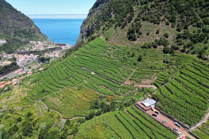 Wine taste, 4x4 Jeep Adventure and Cabo Girão Skywalk - Serra de Água Encumeada: cool air, trails, and valley views