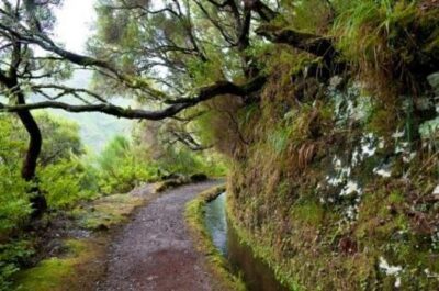 Wine Tasting Experience in Boaventura, Madeira North Coast - The 1.5-Hour Flow: What You Do From 4:00 pm to Finish