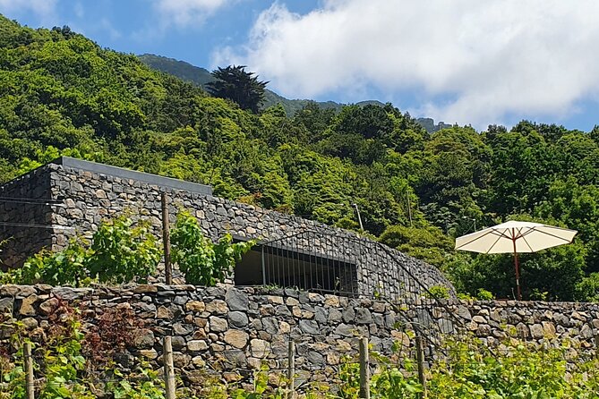 Wine Tasting Experience in Boaventura, Madeira North Coast - Price and Value: Is $54.06 Worth It?